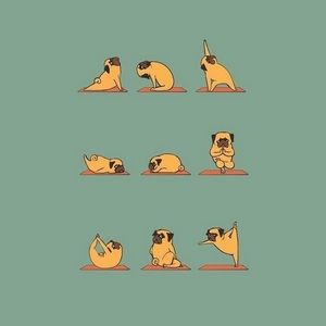 Meet your Posher, Karena